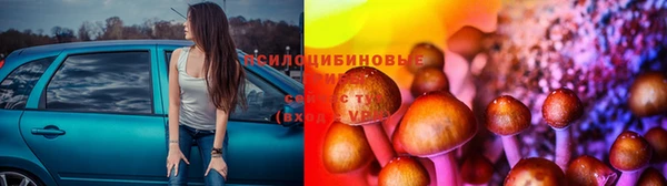 метадон Лиски