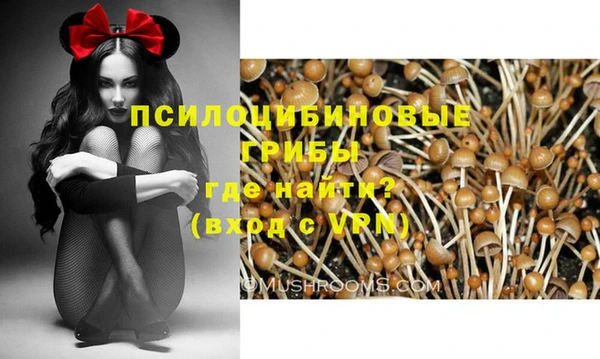 spice Липки