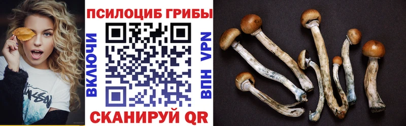 Псилоцибиновые грибы прущие грибы  Ува 